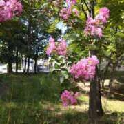 ヒメ日記 2026/01/23 12:45 投稿 七瀬 熟女待機所 厚木店