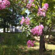 七瀬 出勤します♡ 熟女待機所 厚木店