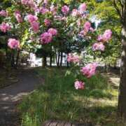 ヒメ日記 2026/03/18 08:26 投稿 七瀬 熟女待機所 厚木店