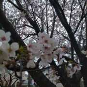 七瀬 出勤♡ 熟女待機所 厚木店