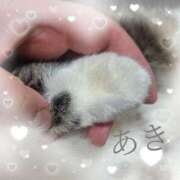 ヒメ日記 2026/03/08 00:48 投稿 あきエロ×ご奉仕×お姉さま ぴゅあぱい松戸♡ぽちゃかわ巨乳専門