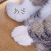 ヒメ日記 2026/03/20 12:59 投稿 あきエロ×ご奉仕×お姉さま ぴゅあぱい松戸♡ぽちゃかわ巨乳専門