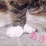 ヒメ日記 2026/04/02 13:31 投稿 あきエロ×ご奉仕×お姉さま ぴゅあぱい松戸♡ぽちゃかわ巨乳専門