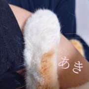 ヒメ日記 2026/06/12 14:30 投稿 あきエロ×ご奉仕×お姉さま ぽちゃぱい