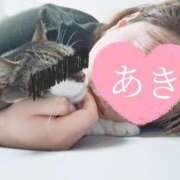 ヒメ日記 2026/07/01 14:19 投稿 あきエロ×ご奉仕×お姉さま ぽちゃぱい