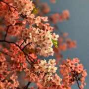 はるか 今日は甘えたいし甘えられたい気分 船橋・西船橋ちゃんこ