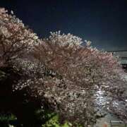 ヒメ日記 2026/03/18 20:26 投稿 來夢/らむ 五反田アネージュ（ユメオト）