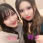 ヒメ日記 2026/03/17 15:35 投稿 峰子 セグレターリオ