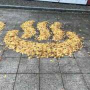 ヒメ日記 2026/01/21 17:13 投稿 せん/花柳 回春性感メンズエステ猫の手 岐阜／岐南