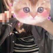 ヒメ日記 2026/03/27 23:01 投稿 かれん CUTE