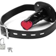 ヒメ日記 2025/12/25 10:50 投稿 月城なこ アナラードライ