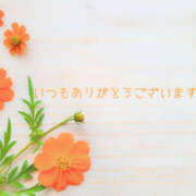 ヒメ日記 2026/02/19 07:43 投稿 れな 所沢デリヘル桜