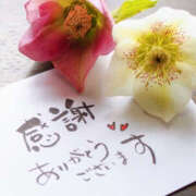 ヒメ日記 2026/02/24 14:44 投稿 れな 所沢デリヘル桜