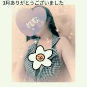 ヒメ日記 2026/04/01 17:27 投稿 れな 所沢デリヘル桜