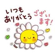 ヒメ日記 2026/04/17 16:25 投稿 れな 所沢デリヘル桜