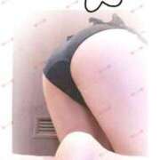 ヒメ日記 2026/04/24 12:41 投稿 れな 所沢デリヘル桜