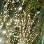 ヒメ日記 2026/09/18 21:03 投稿 れな 所沢デリヘル桜