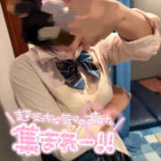 ヒメ日記 2026/02/19 10:24 投稿 おと ラッシュアワー