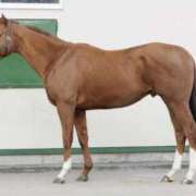 ひまわり オプション🌻 イキなり生彼女from大宮