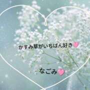 ヒメ日記 2026/04/02 13:18 投稿 和(なごみ) 八王子人妻城