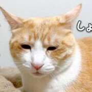 ヒメ日記 2026/04/06 08:27 投稿 和(なごみ) 八王子人妻城