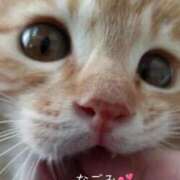 ヒメ日記 2026/04/20 18:27 投稿 和(なごみ) 八王子人妻城