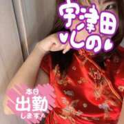 ヒメ日記 2026/03/25 10:48 投稿 宇津田しの 恋する妻たち