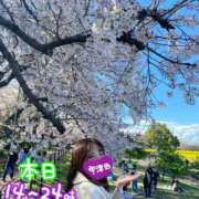 ヒメ日記 2026/04/04 13:28 投稿 宇津田しの 恋する妻たち