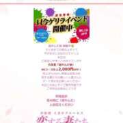 ヒメ日記 2026/04/04 15:58 投稿 宇津田しの 恋する妻たち