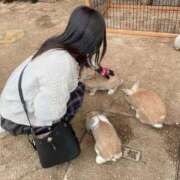 ヒメ日記 2026/04/05 11:18 投稿 宇津田しの 恋する妻たち