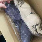 ヒメ日記 2026/04/11 12:28 投稿 宇津田しの 恋する妻たち