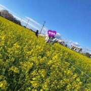 ヒメ日記 2026/04/20 17:58 投稿 宇津田しの 恋する妻たち