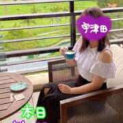 ヒメ日記 2026/06/28 13:58 投稿 宇津田しの 恋する妻たち