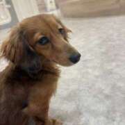 ヒメ日記 2026/03/23 15:18 投稿 まり エンジェルエステplus