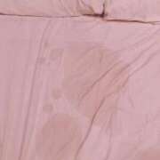 ヒメ日記 2026/02/14 14:56 投稿 もな 恋のうた