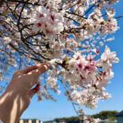 ヒメ日記 2026/04/08 14:01 投稿 Hanna【はんな】 Club Lumine(中津)