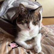 ヒメ日記 2026/02/20 09:58 投稿 深田麻衣子 五十路マダムエクスプレス船橋店(カサブランカグループ)