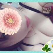 ヒメ日記 2026/04/20 09:38 投稿 深田麻衣子 五十路マダムエクスプレス船橋店(カサブランカグループ)