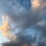 ヒメ日記 2026/09/09 17:02 投稿 深田麻衣子 五十路マダムエクスプレス船橋店(カサブランカグループ)