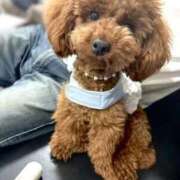 ヒメ日記 2025/12/26 18:47 投稿 モエカ ドMな奥様 名古屋・錦店