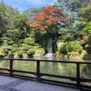 ヒメ日記 2026/02/01 10:37 投稿 清華～セイカ～ ドMな奥様 名古屋・錦店