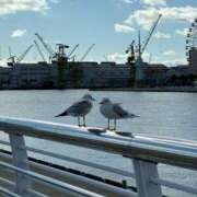 ヒメ日記 2026/02/26 23:30 投稿 佐藤 ゆに プルプルハウス