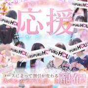 ヒメ日記 2026/03/31 18:02 投稿 佐藤 ゆに プルプルハウス