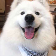 ヒメ日記 2025/12/31 17:38 投稿 さくらこ 恋愛マット同好会