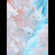 ヒメ日記 2026/02/05 17:08 投稿 さくらこ 恋愛マット同好会