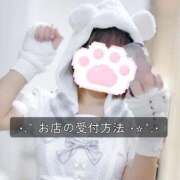 ヒメ日記 2026/01/28 17:12 投稿 アルカ 1ROUND