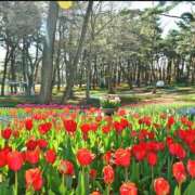 星さあや おはようございます 三丁目の奥様（東京ハレ系）