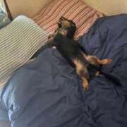 ヒメ日記 2026/01/23 18:13 投稿 さや【AF無料】 熊谷人妻城