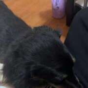 ヒメ日記 2026/02/22 19:01 投稿 さや【AF無料】 熊谷人妻城