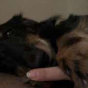 ヒメ日記 2026/03/05 08:10 投稿 さや【AF無料】 熊谷人妻城